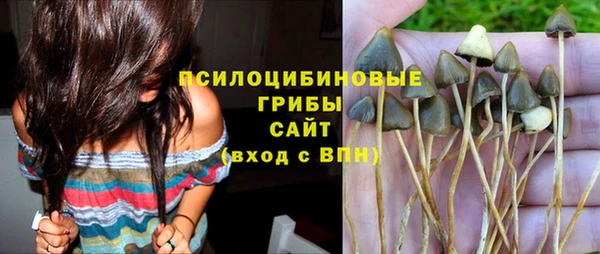 а пвп мука Абаза